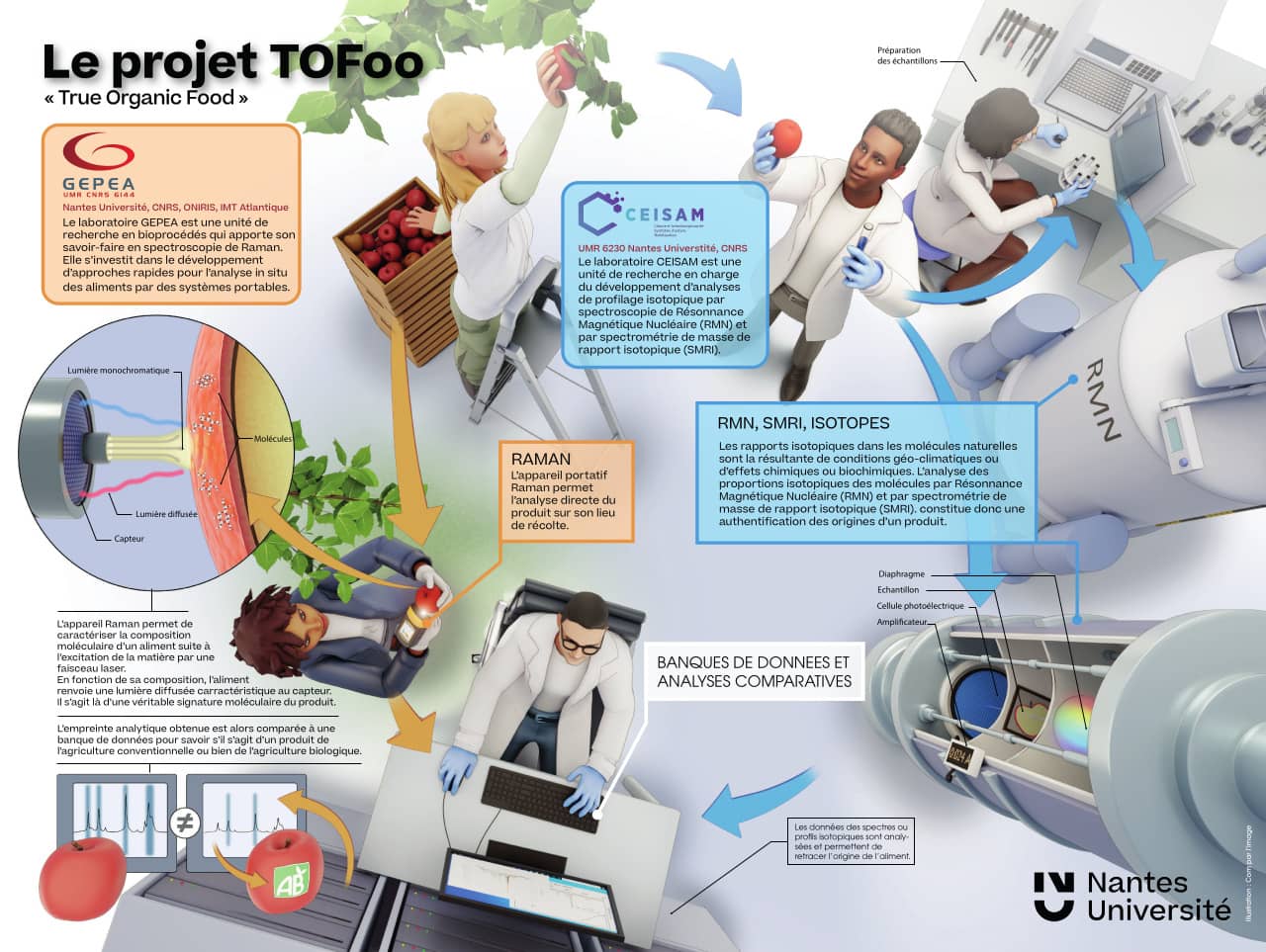 illustration projet tofoo nantes universite eurofins ceisam gepea